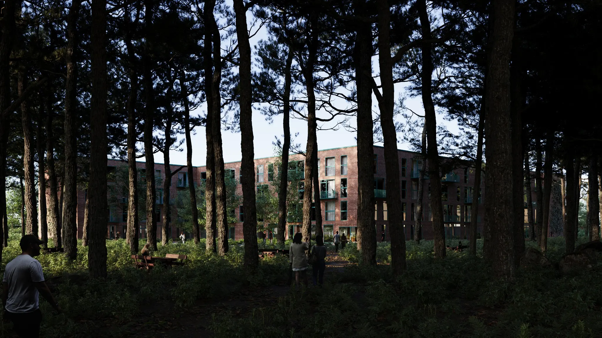 Residential development set within a pine forest landscape